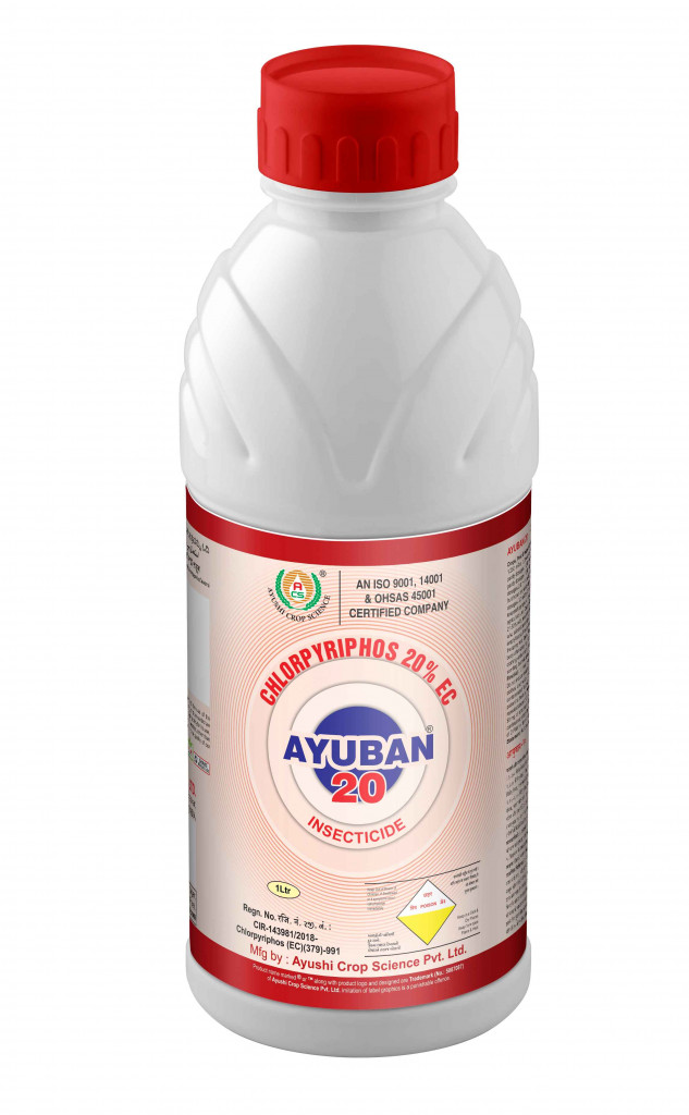 ayuban-20