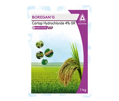 Boregang