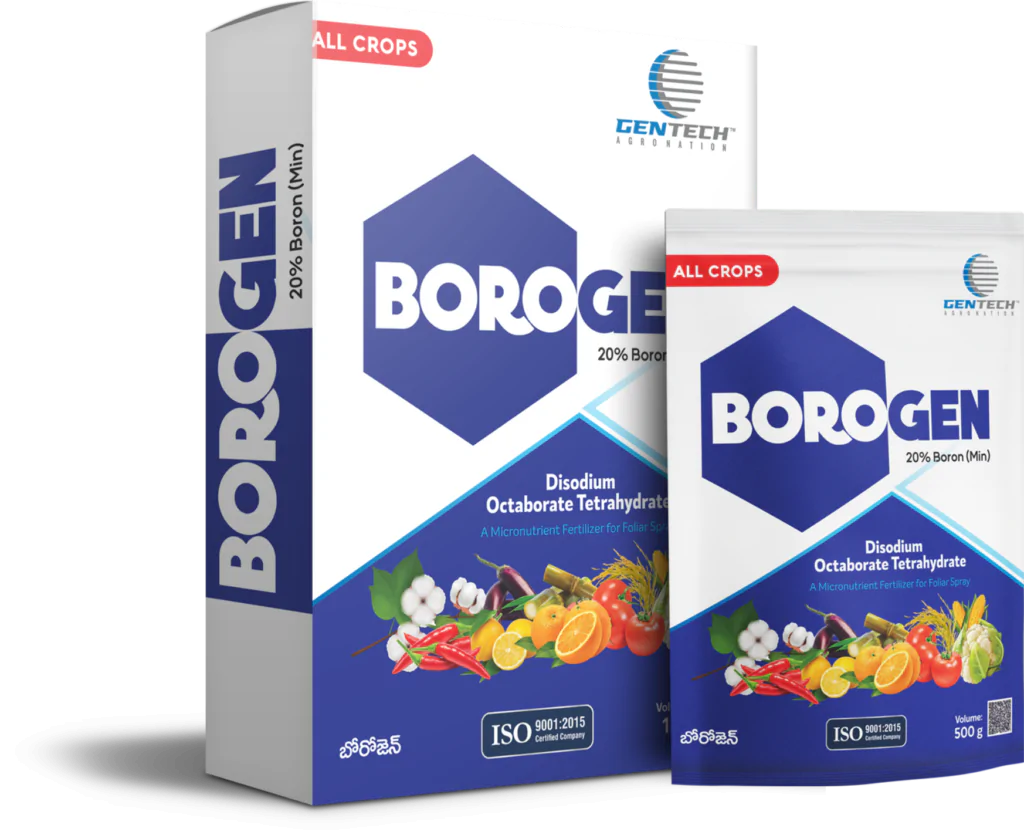 Borogen