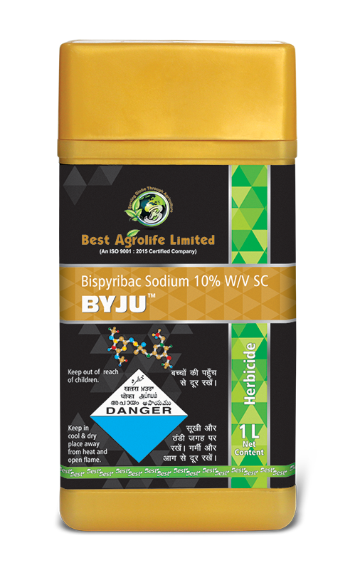 Byju
