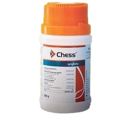 chess