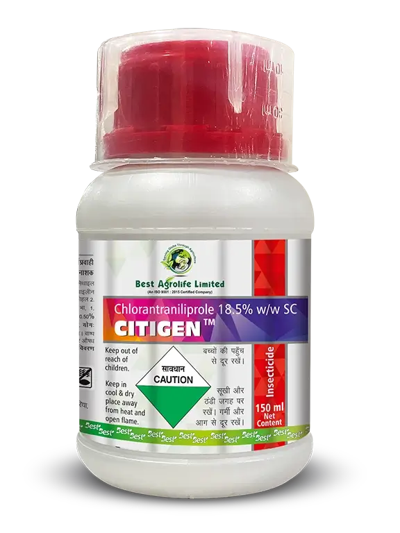 citigen
