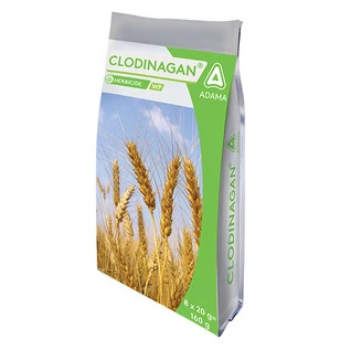 Clodinagan