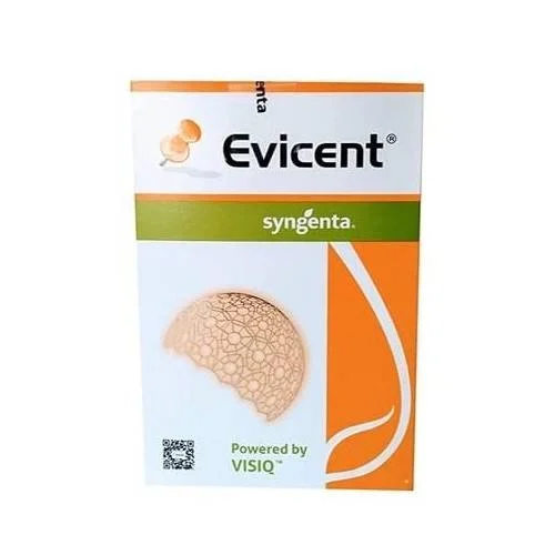 evicent
