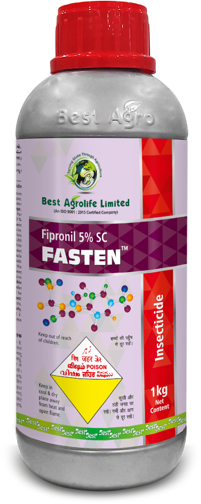 fasten