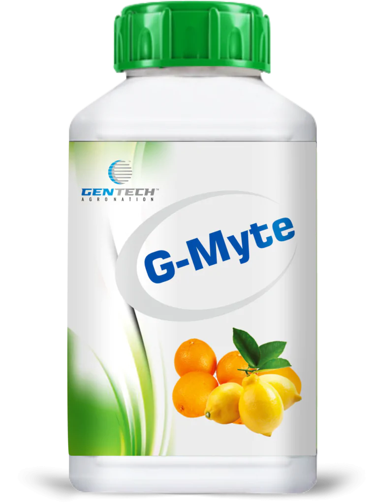G-Myte