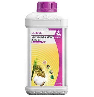 lamdex