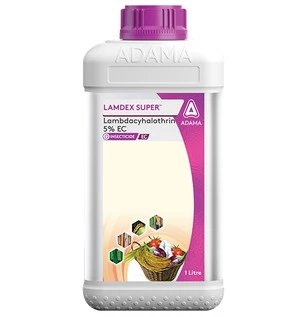 lamdex super