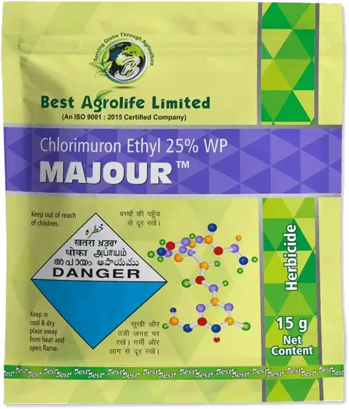 Majour