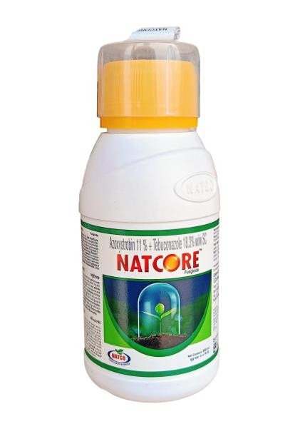 Natcore