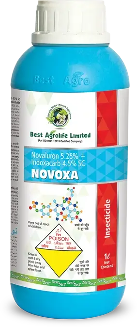 novoxa
