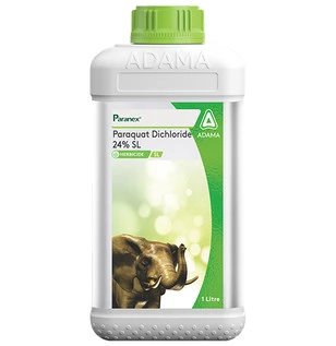 Paranex