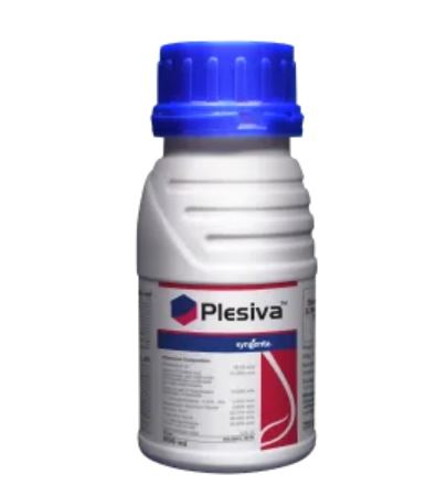 plesiva