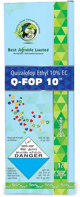 Q-Fop 10