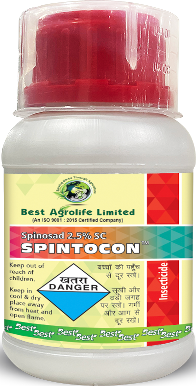 spintocon