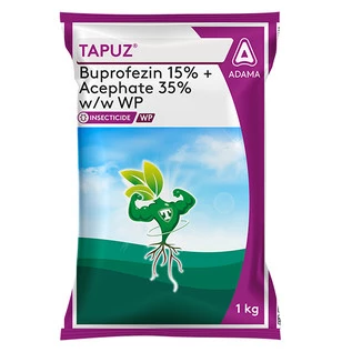 tapuz