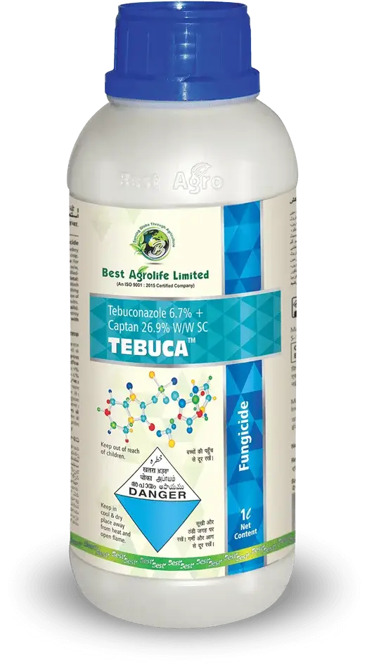 Tebuca