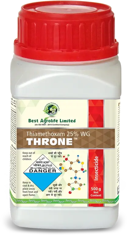 throne